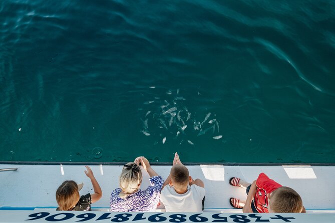 Glass boat tour Fažana with swimming stop - Weather Rules, Delays, and When Plans Change