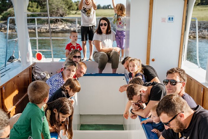 Glass boat tour Fažana with swimming stop - Toward Brijuni National Park: Watching the Sea Through Glass
