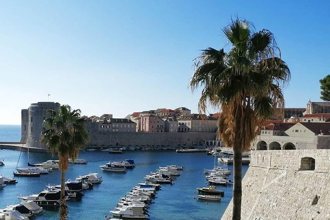 Guided Tour to discover Dubrovnik's Old Town, by day or night - Key things I’d watch for before you book