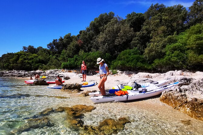 Half-Day Kayak Tour in Vrsar Archipelago - The island break on a small beach (11:15–12:00)