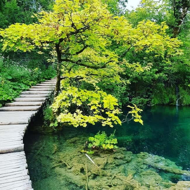 Half day tour around Plitvice Lakes - Panoramic Boat on Lake Kozjak: Why This Segment Matters