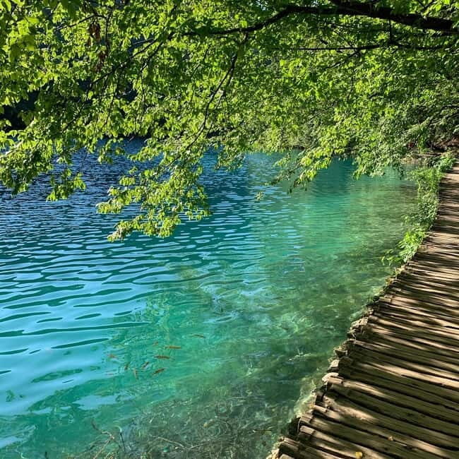 Half day tour around Plitvice Lakes - Meeting at Entrance 1 by the Bear Statue