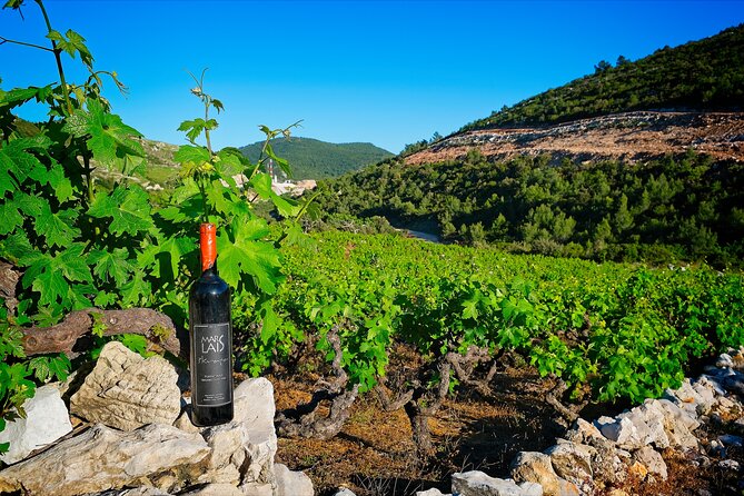 Half Day Tour - Deep and Dark Red Wine of Pelješac - Mali Ston bay oyster stop for sea-to-table snacks