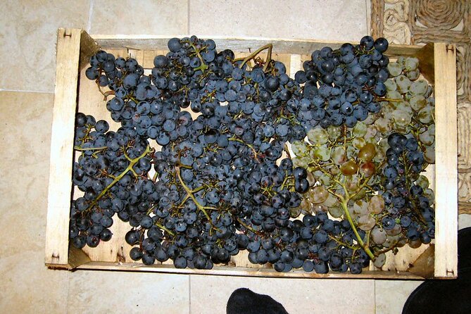 Half Day Tour - Deep and Dark Red Wine of Pelješac - Private pace, pickup, and what the vehicle situation could mean
