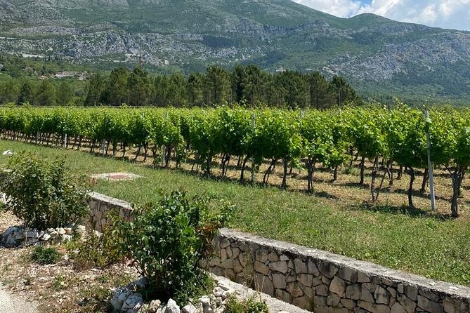 Half-Day Wine and Food Tasting from Dubrovnik - Konavle and the countryside drive: the point isn’t the mileage