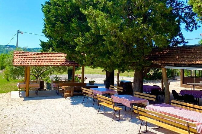 Half-Day Wine and Food Tasting from Dubrovnik - Price and value: what $120.94 buys you in this area