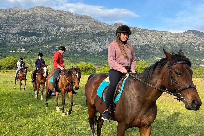 Horseback Riding Experience with transport from Dubrovnik - Key Highlights You’ll Feel From the First Minute