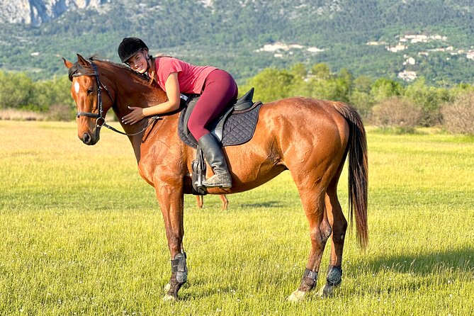 Horseback Riding Experience with transport from Dubrovnik - From Dubrovnik Pickup to Konavle: The Day Starts Smooth