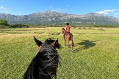 Horseback Riding Experience with transport from Dubrovnik - What $118.94 Buys You: Real Value, Not Just a Ride