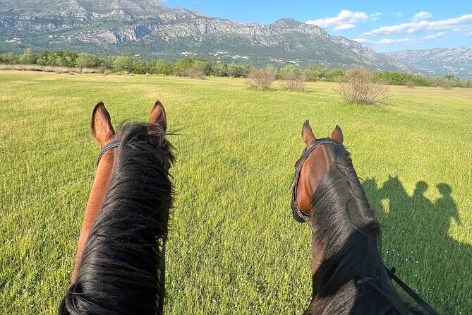 Horseback Riding Experience with transport from Dubrovnik - Timing, Planning, and Getting the Most Out of It