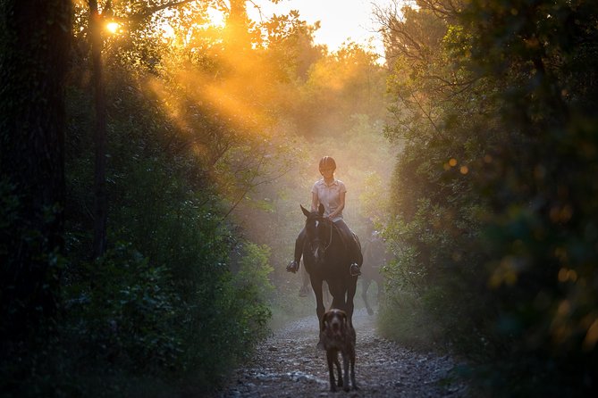 Horseback Riding in Konavle Region with Transport from Dubrovnik - Key Highlights You’ll Feel Immediately