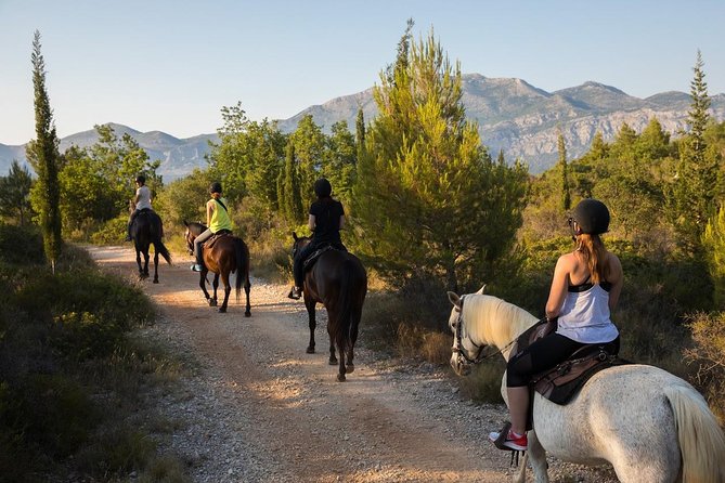 Horseback Riding in Konavle Region with Transport from Dubrovnik - Saddling Up: Helmets, Basics, and Confidence for First-Time Riders