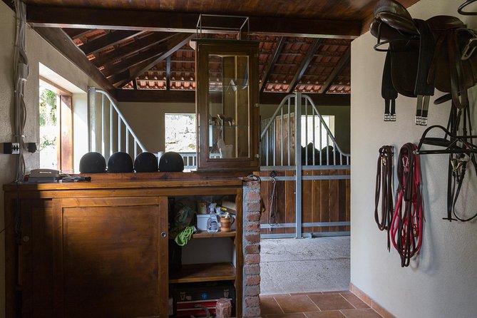 Horseback Riding in Konavle Region with Transport from Dubrovnik - Kojan Koral Arrival: Snacks, Wine, and the Warm Landing