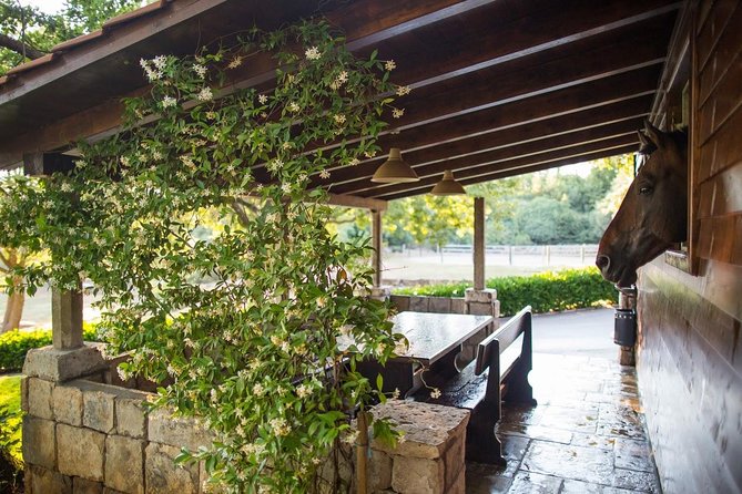 Horseback Riding in Konavle Region with Transport from Dubrovnik - How the Small Group Changes Everything