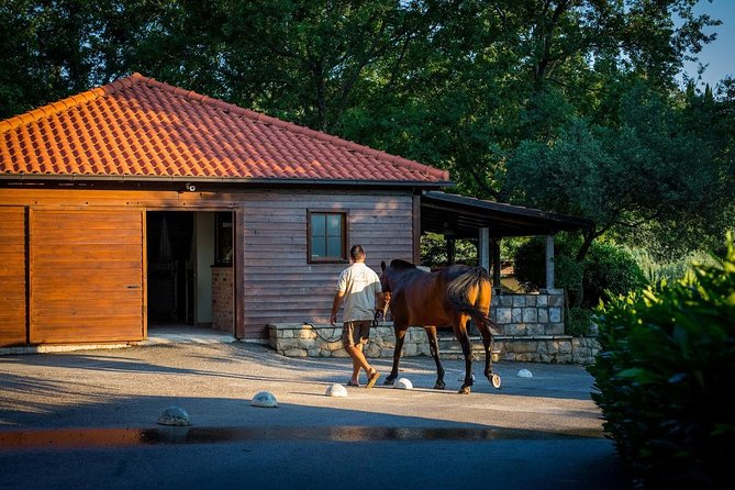Horseback Riding in Konavle Region with Transport from Dubrovnik - Who Should Book This Horseback Ride