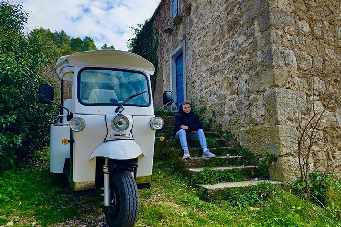 Hvar Adventure Tour: Explore with a 4-6 Seater eTuk Tuk Rickshaw! - Price and value: what $320.79 gets you (up to 6 people)