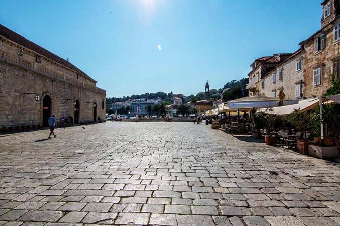 Hvar-Brac-Solta speedboat tour from Split or Trogir - The skipper and boat feel: comfort matters for a long sea day