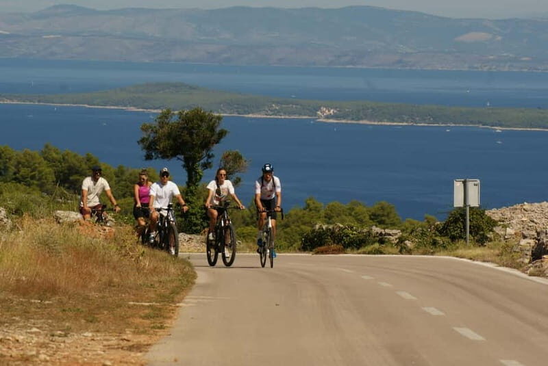 Hvar Island E-Bike Tour with Wine Tasting and Starters - Lacman Family Winery: organic wines, cheese, and real hillside time