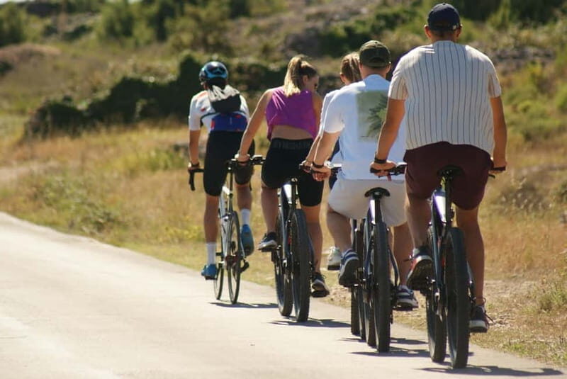 Hvar Island E-Bike Tour with Wine Tasting and Starters - Food and wine pairing: what’s included and how to get the most out of it