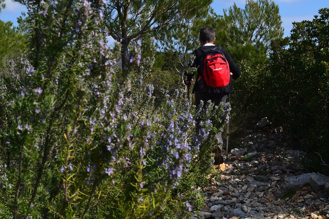 Hvar Lavender Tour - Quick hits before you go
