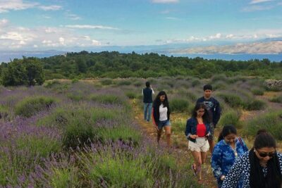 Hvar Lavender Tour - Stop 1: Velo Grablje and the “how people lived” moment