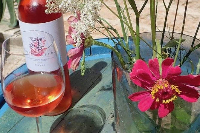 Hvar Small Group Wine Tour and Authentic Dalmatian Dinner - The people part: guides who tell stories you can use