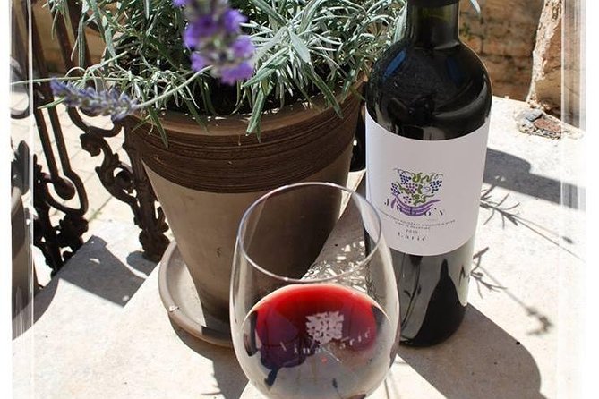 Hvar Small Group Wine Tour and Authentic Dalmatian Dinner - How long is the day, and who should book