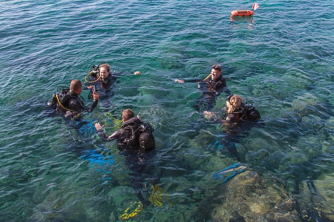 Intro Dive in Dubrovnik - Your first skills lesson: gear, signaling, and pressure control