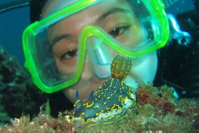 Intro Dive in Dubrovnik - Entering the water with confidence (max 6 meters)
