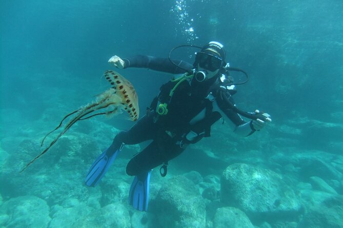 Intro Dive in Dubrovnik - Price in context: is $120.29 good value?