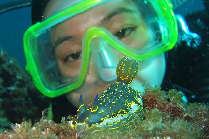 Intro Dive in Dubrovnik - Entering the water with confidence (max 6 meters)