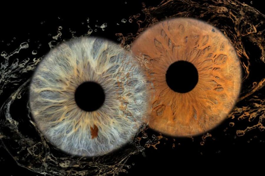 IRIS Photography (macro photo of your eye) - Iris Macro Photo in Split: why this is oddly cool