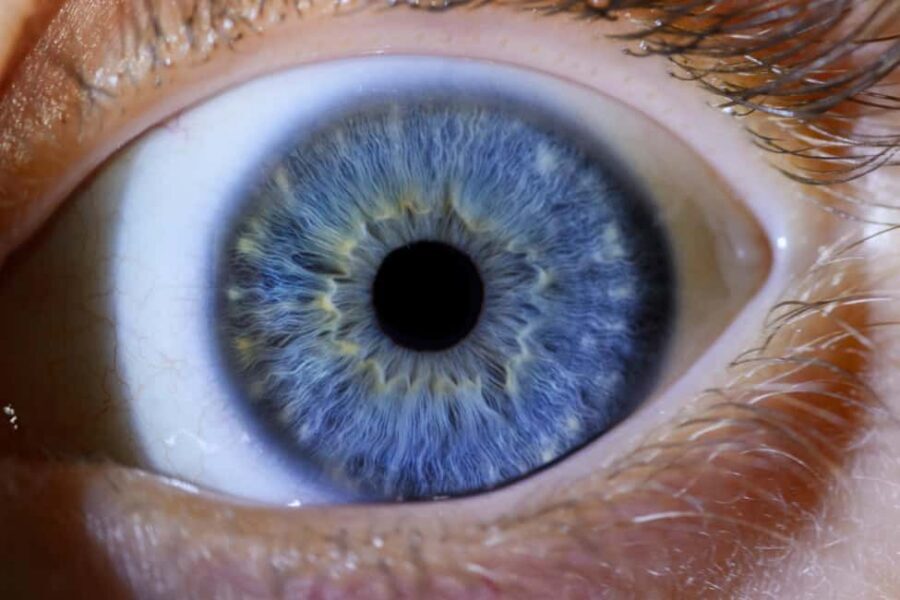 IRIS Photography (macro photo of your eye) - Timing and planning tips for a smooth day