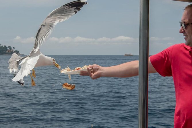 Island Hopping & City Walls Cruise with Food and Open Bar - Stop 3: Lopud Is the Main Event (And Šunj Needs Time Math)
