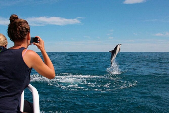 Island Visit National Park Brijuni & Dolphin Cruise - Key things I’d circle before you book