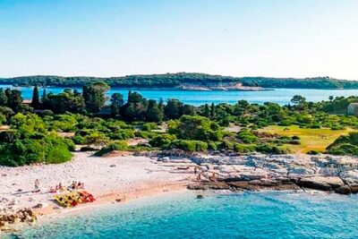 Island Visit National Park Brijuni & Dolphin Cruise - Unlimited drinks at sea: white wine, soda, and water you can pace