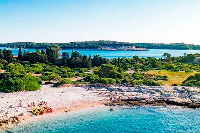 Island Visit National Park Brijuni & Dolphin Cruise - Unlimited drinks at sea: white wine, soda, and water you can pace