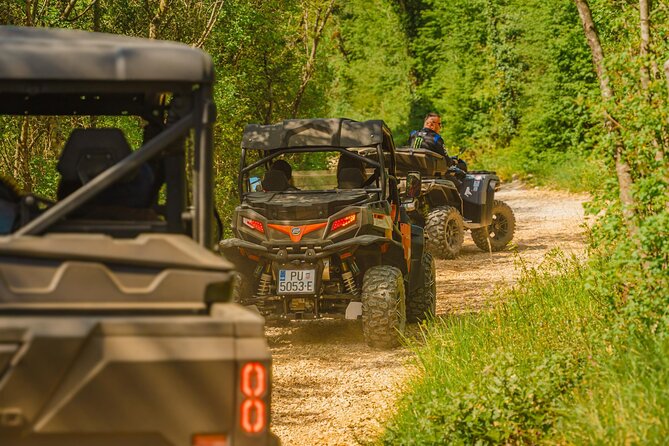 Istra Buggy Tour with a Local Guide - Driving time, stops, and the right kind of pace