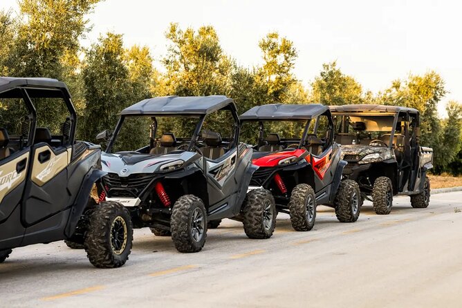 Istra Buggy Tour with a Local Guide - Fazana to the off-road start: your first change of scenery