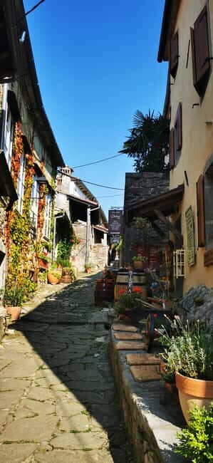 Istria Day Tour from Zagreb - Should you book it?