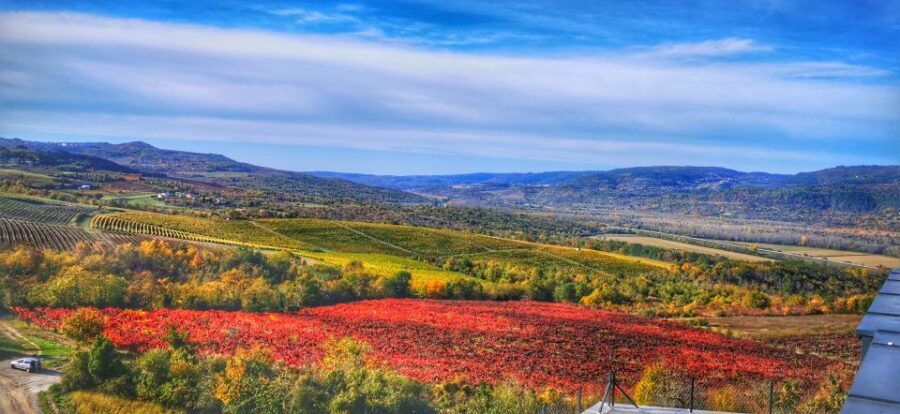 Istria Day Tour from Zagreb - The value of compressing Istria into one long, guided day