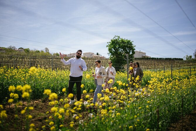 Istria Wine Tour from Rijeka and Opatija - Key things that make this tour worth your attention