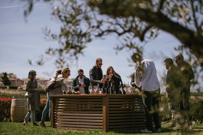 Istria Wine Tour from Rijeka and Opatija - Surprise gift and included extras: small touches add up