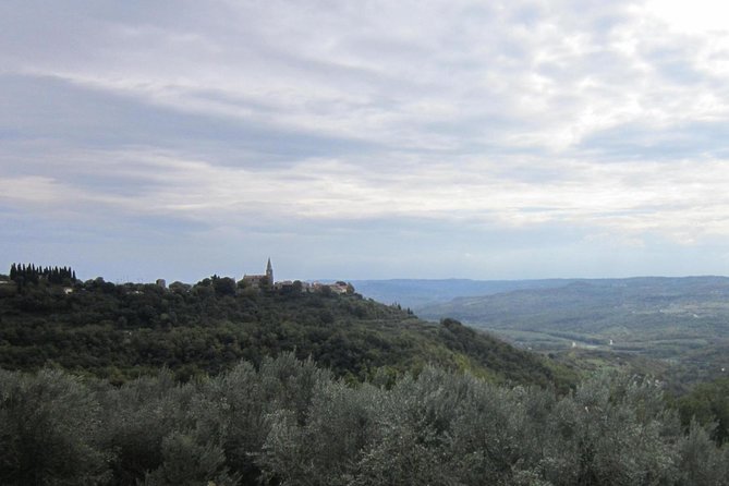 Istrian hill top cities tour with truffle and olive oil tasting - Price and value: is $116.78 per person fair for this day?