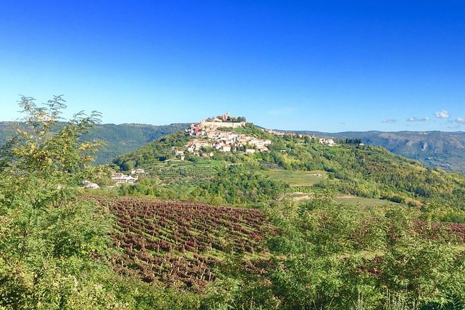Istrian hill top cities tour with truffle and olive oil tasting - Who should book this tour (and who might not love it)