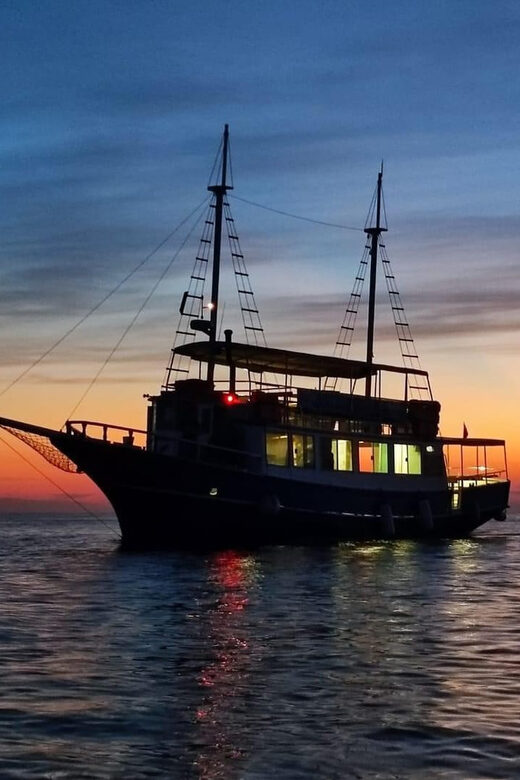 Izlet brodom iz Vrsara: Zalazak sunca i druženje s delfinima - The 2-Hour Dolphin Safari: what the time is really for