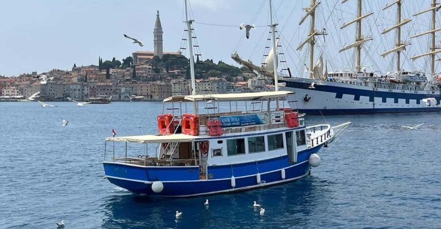 Izlet brodom iz Vrsara: Zalazak sunca i druženje s delfinima - Vrsar Harbor to the Archipelago: the feel of the trip at each stage