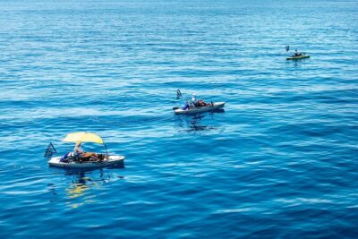 Kanjac Kayak Fishing Cavtat - Hobie Pedal Kayaks and the Lowrance Fishfinder: The Real Upgrade
