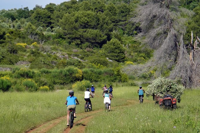 Kayak and Bike Tour to Sipan island from Lopud - Key points to know before you go