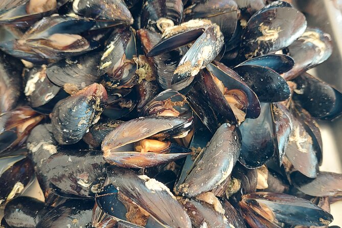 Kayaking and mussels tasting at Krka River estuary-private tours - The best part of the day is the built-in breaks